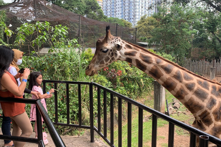 bandung zoo