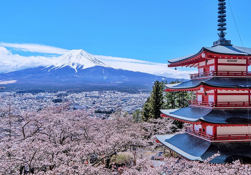 Where to Go During Cherry Blossom Season