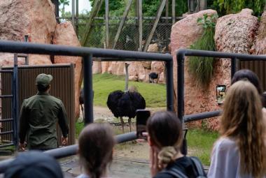 Discover What Happens ‘Behind Closed Doors’ with Bali Zoo’s New Evening Programme