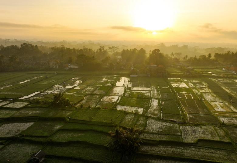 nyepi bali