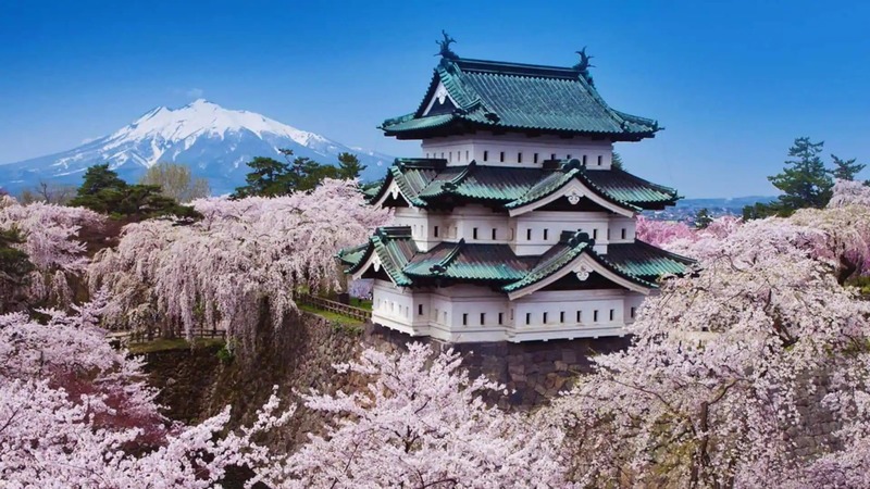 Where to Go During Cherry Blossom Season