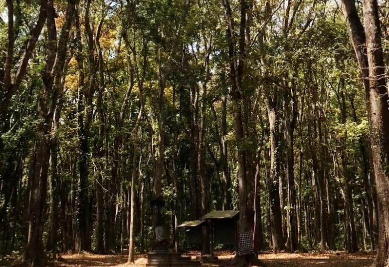 Is Alas Purwo Haunted or Sacred? 