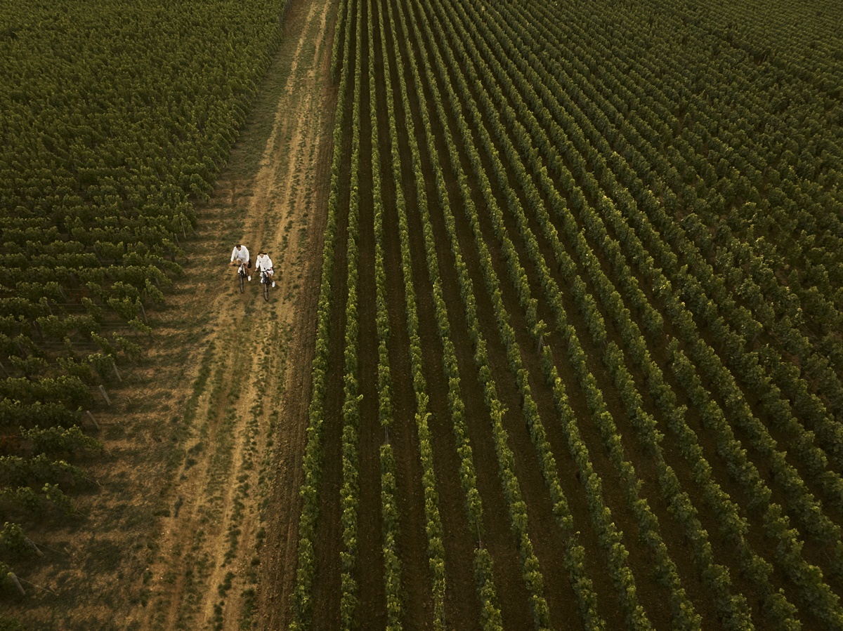 COMO Le Montrachet 5