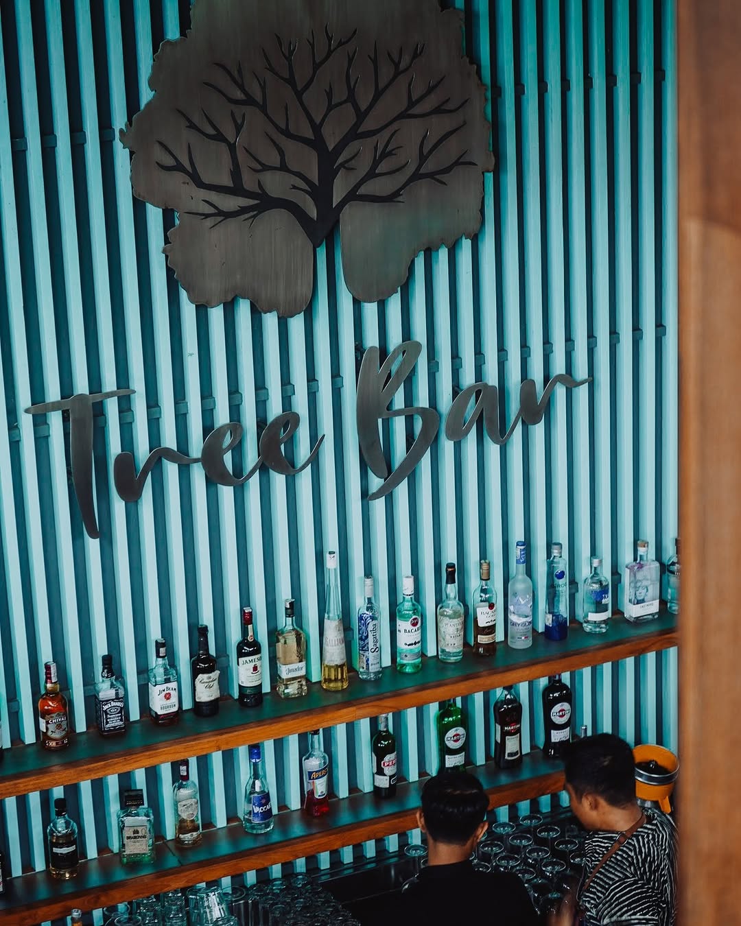 Tree Bar Bali Best Cocktail Bars