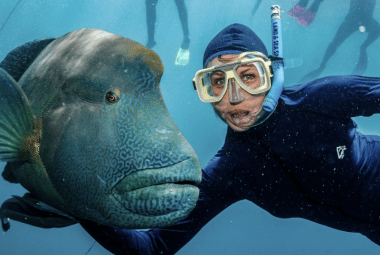 Best snorkeling spots 