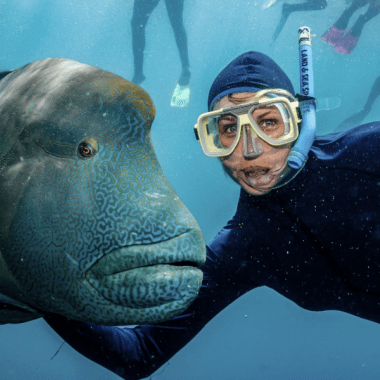 Best snorkeling spots 