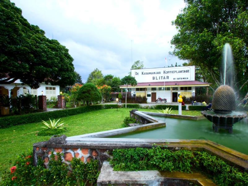 De Karanganjar Koffieplantage