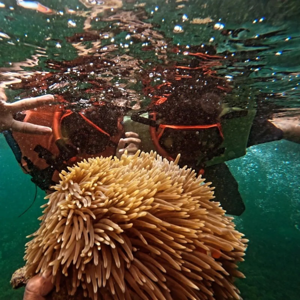 Gili labak